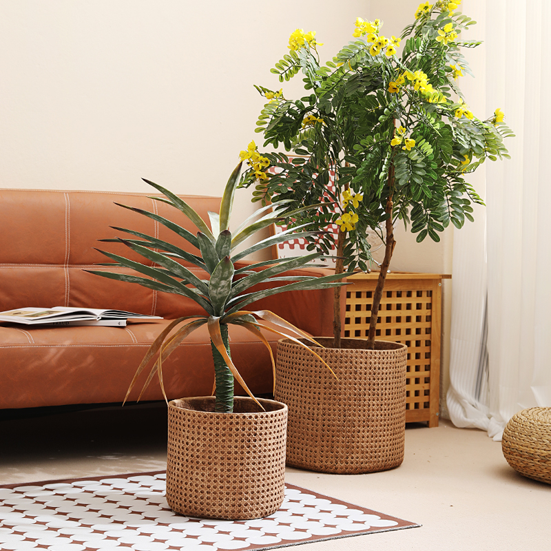 Furniture Paradise & Hardware Ghaziabad Photos - Furniture for small-sized apartments floor-to-ceiling flower