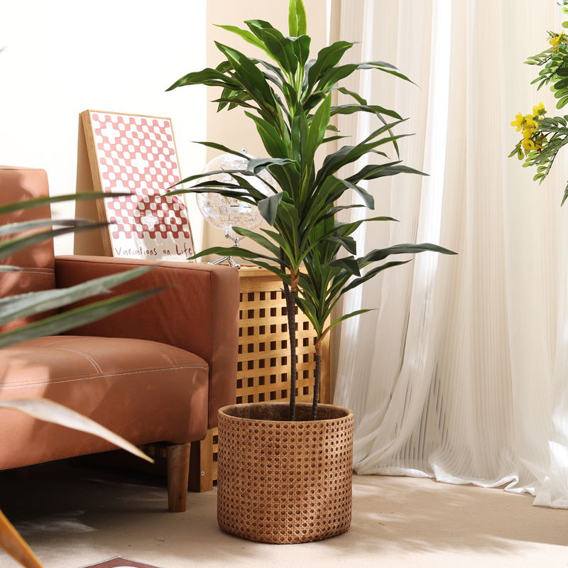 Furniture for small-sized apar - Furniture Paradise & Hardware Ghaziabad Photos recensie en prijs