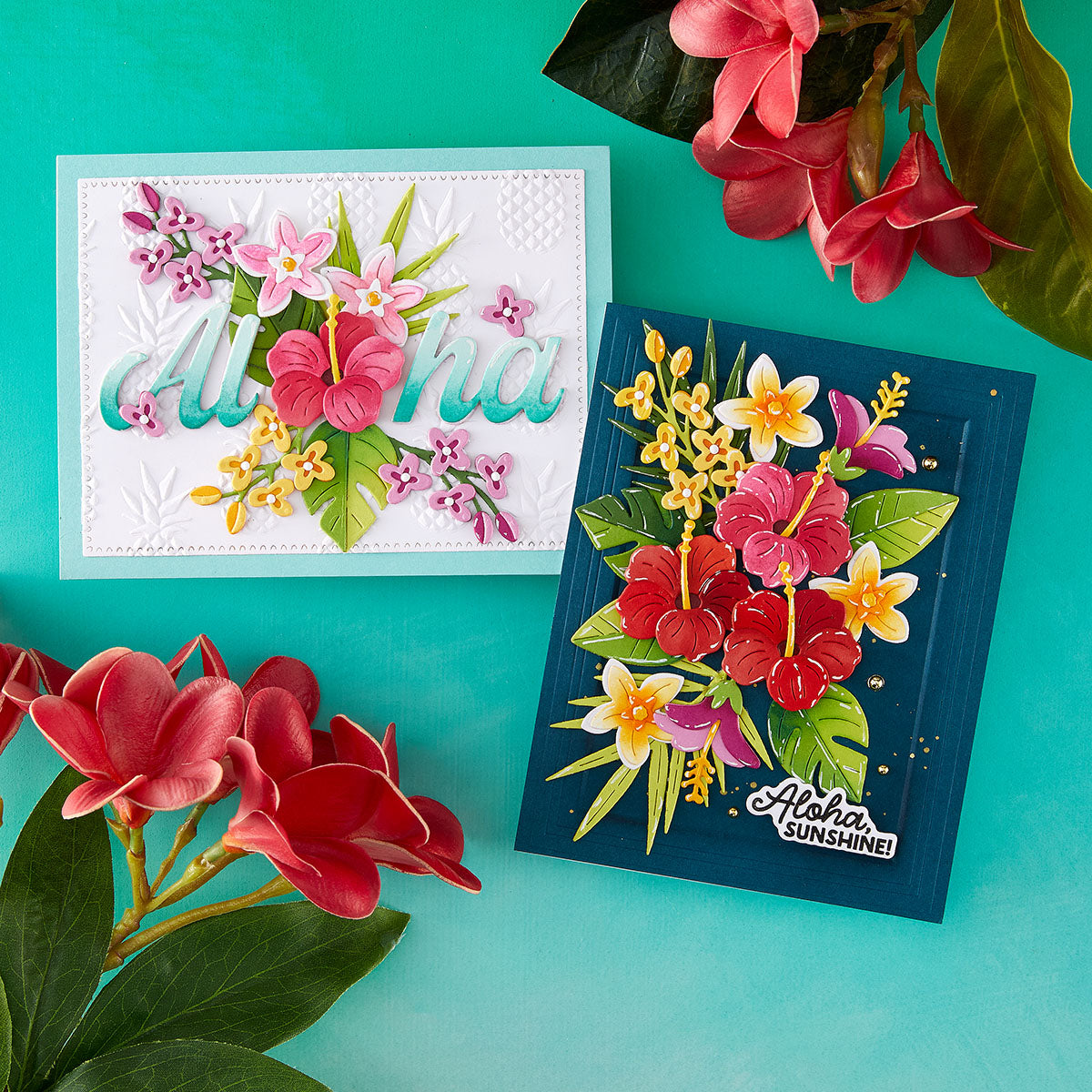 Turtle Blooms Hibiscus Paradis - Furniture Paradise & Hardware Ghaziabad Photos recensie en prijs